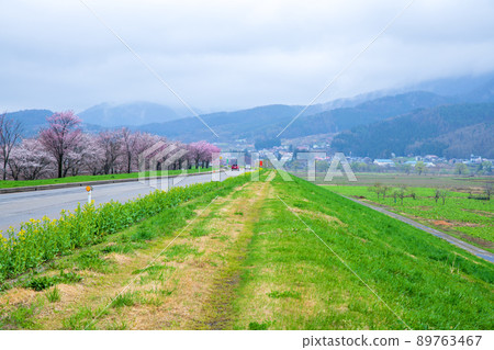 千隈川河床路站 花之站 千隈川附近的景色 早春的景色 89763467