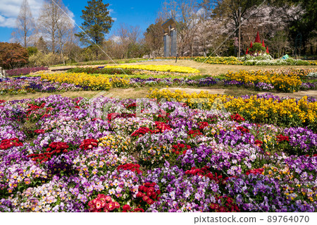 花場圖像 89764070