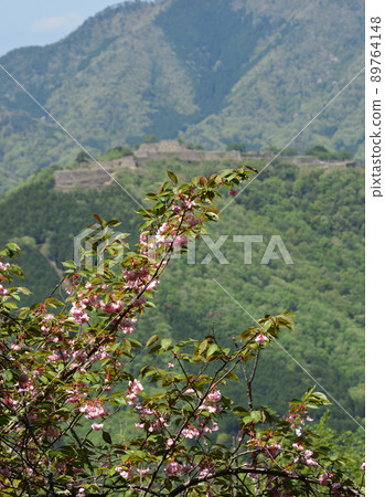 遠眺武田城跡、山中的立雲峽前往第一展望台、佐倉 89764148