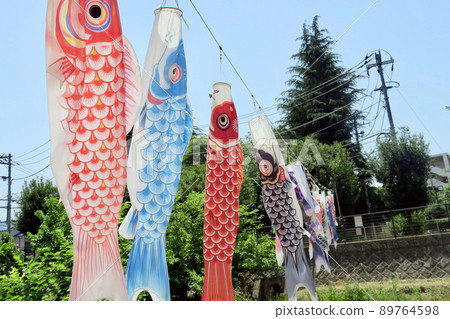 Carp streamer river festival 89764598
