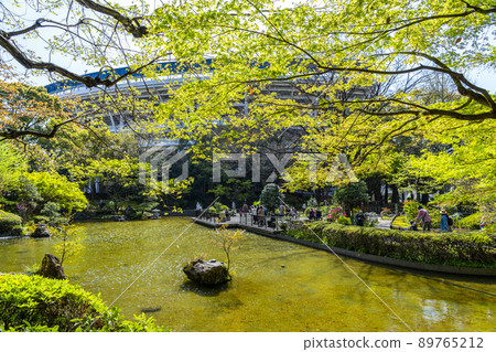 [神奈川縣]橫濱公園綠意盎然的日式庭園 89765212