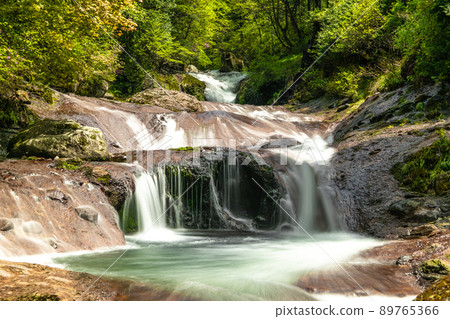新鮮的綠色雜項隱藏的瀑布 89765366