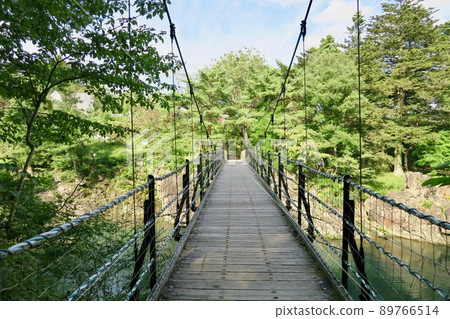 玄美溪吊橋 玄美溪吊橋 89766514