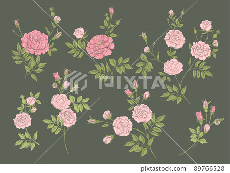 Roses flowers on branches. Millefleurs trendy floral design 89766528