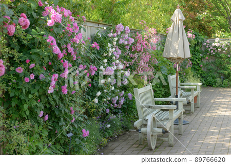 英式花園長凳 89766620