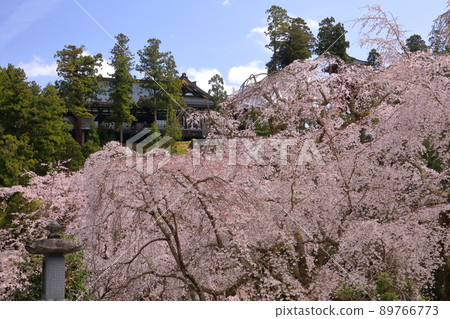 Minobu-cho, Minamikoma-gun, Yamanashi Prefecture Kuonji Temple, the head temple of the Nichiren sect. 89766773