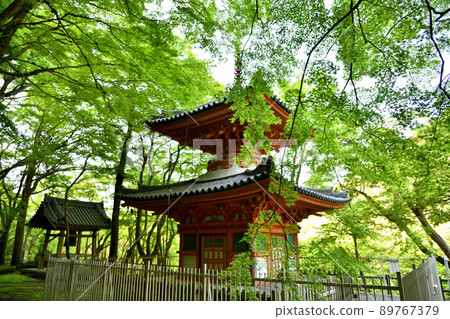 牛瀧山大德寺（Tahoto）[大阪府岸和田市] 89767379