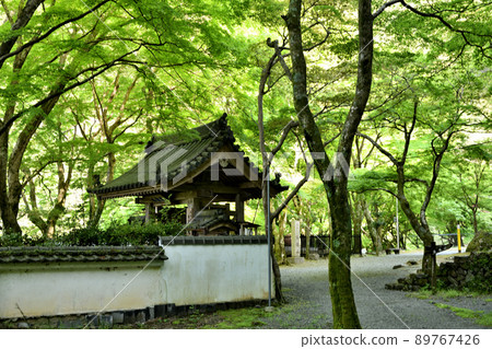 Ushitakisan Daiitokuji Temple (Sanmon) [Kishiwada City, Osaka Prefecture] 89767426