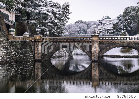 《Tokyo》 Snowy scenery of Tokyo, Kokyogaien Nijubashi 89767599