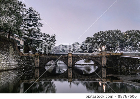 《Tokyo》 Snowy scenery of Tokyo, Kokyogaien Nijubashi 89767600