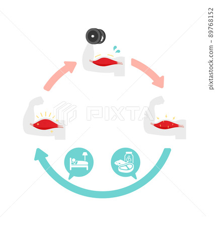 力量訓練/肌肉訓練/肌肉生長機製圖解(超補償)/無字 力量訓練/肌肉訓練/肌肉生長機製圖解(超補償)/無字 89768152