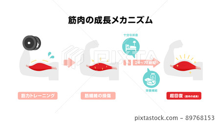 力量訓練/肌肉訓練/肌肉生長機製圖解（超補） 89768153