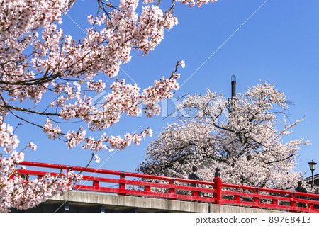 210411 Sakura Nakahashi g022 89768413