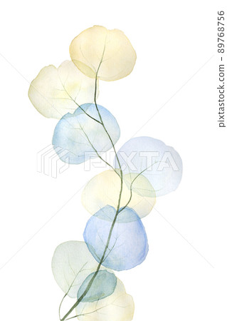 watercolor eucalyptus leaf illustration isolated on white watercolor eucalyptus leaf illustration isolated on white 89768756