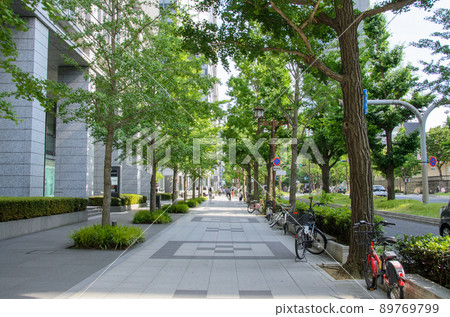 Fresh green Midosuji 89769799