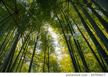 法國寺』 89769827