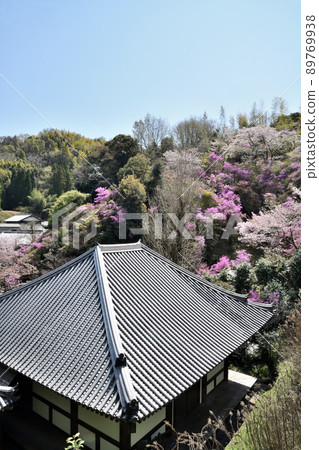 真道寺(三津寺大殿)【京都府木津川市山城町】 真道寺(三津寺大殿)【京都府木津川市山城町】 89769938