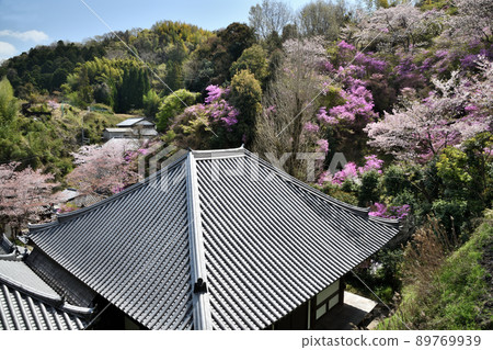 Shindoji Temple (Main Hall, Mitsubatsuji) [Yamashiro Town, Kizugawa City, Kyoto Prefecture] 89769939