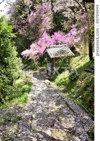 真道寺（轄區）[京都府木津川市山城町] 89769944