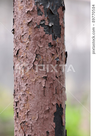 Iron pillar with peeled paint Iron pillar with peeled paint 89770584