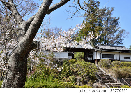 Hotokuji Temple (Sanmon, Hotokuzenji Temple) [Shitamachi Yagyu, Nara City] 89770591