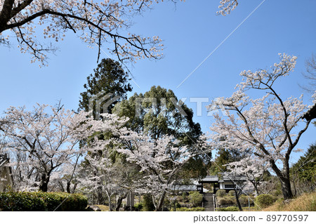 Hotokuji Temple (Sanmon, Hotokuzenji Temple) [Shitamachi Yagyu, Nara City] 89770597