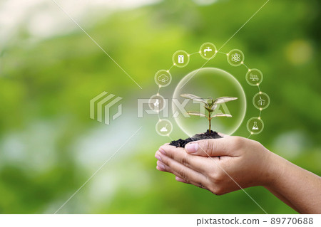 Sapling growing on soil in farmer's hands and plant growth factor icon, afforestation, and forest conservation concept. Sapling growing on soil in farmer's hands and plant growth factor icon, afforestation, and forest conservation concept. 89770688