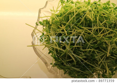 透明碗裡裝著綠色的新鮮蔬菜 89771359