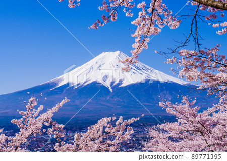 日本“櫻花盛開和富士山”的形象 89771395