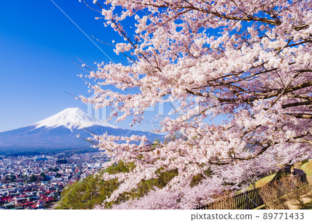 日本“櫻花盛開和富士山”的形象 日本“櫻花盛開和富士山”的形象 89771433