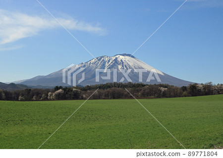 從東南方看到的岩手山 89771804
