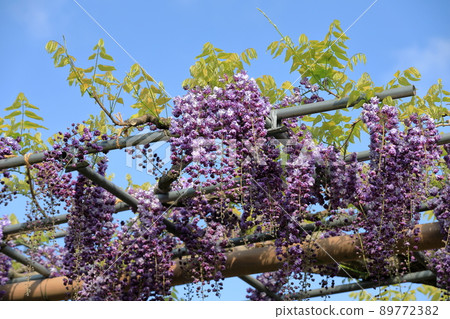 brautstrauß weiße orchideen Brautstrauß mit Perlenring und Orchideen