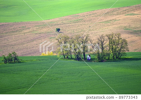 Beautiful landscape with spring nature. Chapel of St. Barbara. South Moravia - Moravian Tuscany - Czech Republic Europe.. Beautiful landscape with spring nature. Chapel of St. Barbara. South Moravia - Moravian Tuscany - Czech Republic Europe.. 89773343