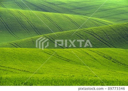 Beautiful landscape with spring nature. Waves on the field. South Moravia - Moravian Tuscany - Czech Republic Europe.. Beautiful landscape with spring nature. Waves on the field. South Moravia - Moravian Tuscany - Czech Republic Europe.. 89773346