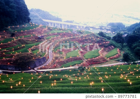 螢火蟲節的夜景 螢火蟲節的夜景 89773781