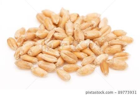 Wheat on white Wheat on white 89773931