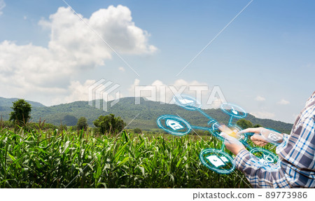 asian male farmer working in corn farm To collect data to study. Innovation technology for Develop farms to improve production efficiency. asian male farmer working in corn farm To collect data to study. Innovation technology for Develop farms to improve production efficiency. 89773986