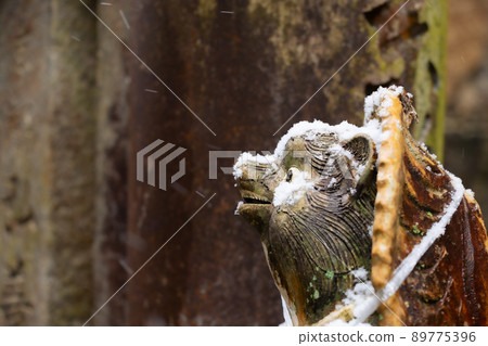 Shigaraki raccoon dog with snow 89775396