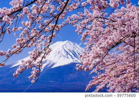 Fuji landscape in Japan 89775600