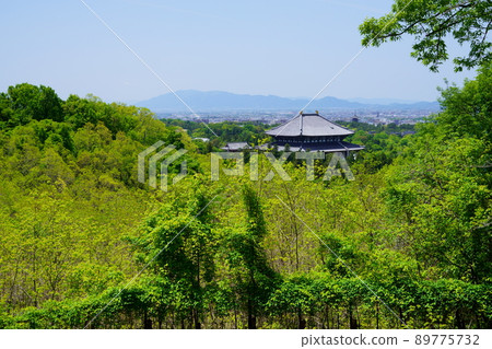 May, The University of Tokyo in the fresh green 89775732