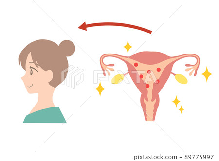 一個年輕女子的子宮中含有大量雌激素的插圖 一個年輕女子的子宮中含有大量雌激素的插圖 89775997