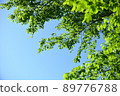夏日陽光明媚的一天 89776788