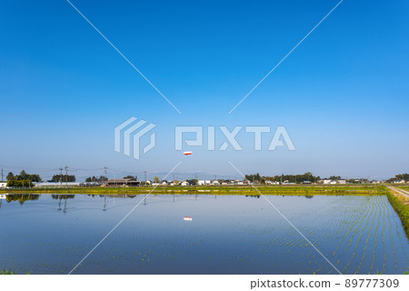 An airship reflected in the water mirror of a paddy field An airship reflected in the water mirror of a paddy field 89777309