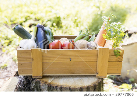 Assorted vegetables Assorted vegetables 89777806