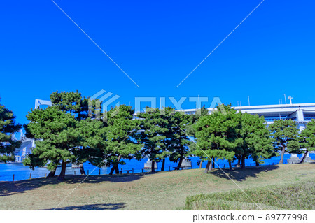 [Urban scenery of Tokyo] Urban scenery of Odaiba (3rd Daiba) 89777998
