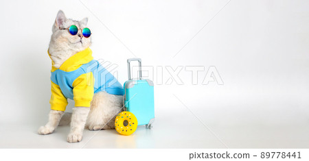 Funny cat in a blue sweatshirt and sunglasses, sits with a suitcase on a white background 89778441