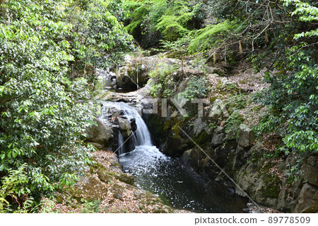 Mizumadera Temple (Waterfall with the appearance of Holy Kanzeon) [Kaizuka City, Osaka Prefecture] 89778509