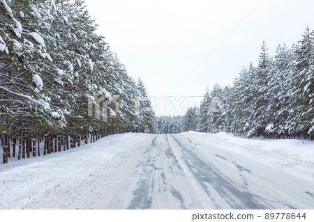 landscape of snowy winter road through a pine forest outside the city landscape of snowy winter road through a pine forest outside the city 89778644