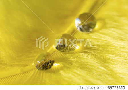 Beautiful drops of water on a yelliw fluffy background. Beautiful drops of water on a yelliw fluffy background. 89778855