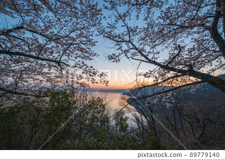 Lake Biwa seen from a row of cherry blossom trees in full bloom and the setting sun | Kaizu Osaki 89779140